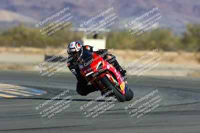 media/Jan-09-2022-SoCal Trackdays (Sun) [[2b1fec8404]]/Turn 14 (10am)/